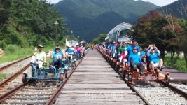 곡성 섬진강기차마을, 대나무박람회 연계 특별할인