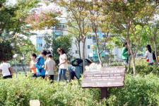 광주 도산초, 전국 명상숲 최우수학교