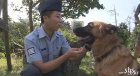 TV 동물농장 군견 올가, 180도 변신?… 반려견 적응 이상 무