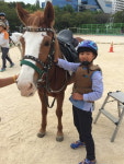 렛츠런 문화공감센터 광명, 馬음 속의 말 행사 개최