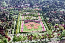 2016년 무궁화동산 어디가 좋을까?