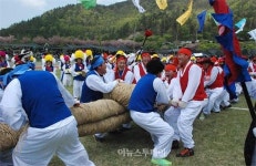 내년엔 풍년일까 풍어일까, 용줄을 당겨보세!