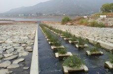 하남시, 산곡천 복원사업 위해 모니터링