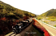 곡성 섬진강기차마을, 우수 관광시설 선정