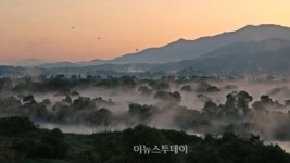곡성군, 섬진강 침실습지 국가습지 지정 추진