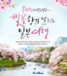 자유투어, 벚꽃 잎이 흩날리는 일본으로 떠나요