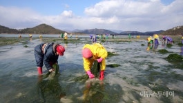 완도 청학동 참살이서 8~9일 바다축제