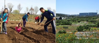 성남시, 공공형 무료 텃밭 성남시민농원 개장