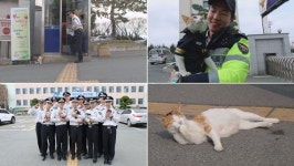 동물농장 보초서는 고양이, 의경들과 유쾌한 동거… 무슨일이?