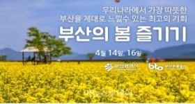 부산의 봄 제대로 즐기기 , 서부산 체험투어시작