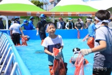 2016완도장보고수산물축제 개막
