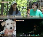 동물농장 윤승아, 잃어버린 반려견 찾아나서… 누나랑 집에 가자