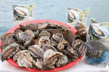 올 여름 건강을 위해 완도전복을 許 하노라