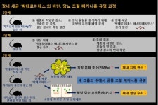 [박재붕의 굿 닥터] 서울아산병원 권미나 교수