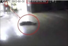 소풍 떠난 故 김나현 양, 유치원 선생님 학대 때문에?… 증언과 다른 CCTV 영상 충격