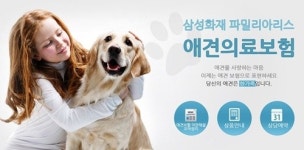 증가하는 펫팸족, 뜨는 반려동물 시장, 그리고  보험
