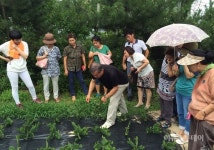 용인시농업기술센터, 농가소득 증대 천년초 재배 교육