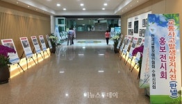 수원시청 로비서 교통사고예방 사진전시회 개최