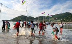 진도 접도어촌체험마을, 3일 개매기체험