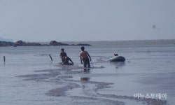 썰물에 쓸려가고, 바다로 추락하고…목포해경 분주