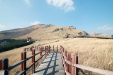 전국 휴양림, 추석 연휴기간 무료