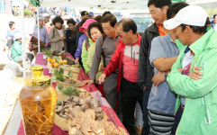 민주지산이 품은 웰빙보물 자연산 버섯음식 여행