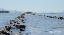 신안 증도‧비금~도초, 아름다운 자전거길 100選