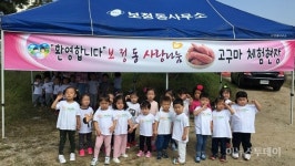 용인시 보정동, 고구마 캐기 체험행사 실시