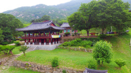 천년고찰 영국사, 만세루 무료다원 운영