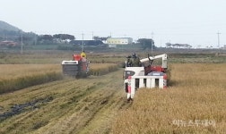 진도 농기계 수리센터協, 벼베기 봉사