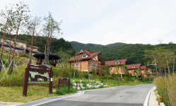 산림복지서비스 제공 확대
