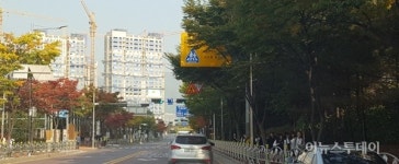 하남시, 미사대로등 가로수 정비