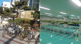 성남시, 건축물 부설 자전거 주차장 67곳 점검