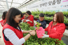 KT 드림스쿨 글로벌 멘토, 봉사활동 펼쳐