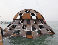 청정 태안 앞바다에 바다목장 만든다