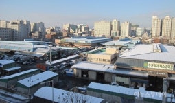 수원시농수산물도매시장, 설 앞두고 주차장 무료개방