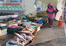 임시판매장서 건어물 진열하는 여수수산시장 상인