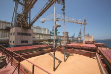 12분기 연속 흑자 팬오션, 한진해운과 다른 점은?