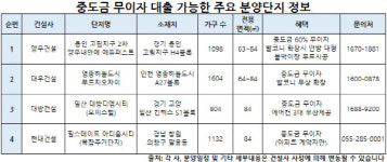 대출 규제 강화에 중도금 무이자 아파트 인기몰이