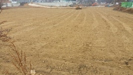 광명시 하안동 밤일마을 친환경 시민주말농장 조성