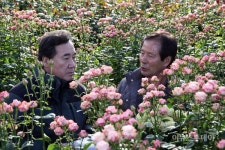 [포토]이낙연 지사, 광주 무등농원서 장미재배기술 살펴