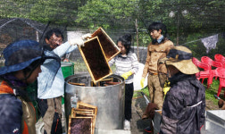 꿀벌과 달콤한 동행 체험해 보세요