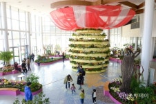 순천만국가정원 봄꽃 인테리어가든 오픈