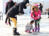 평창윈터페스티벌, 60만명 다녀가…직접 경제효과 1883억