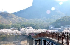 담양군, 담양호 용마루길 금연구역 지정