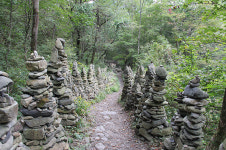 동부지방산림청, 산림문화자산 발굴