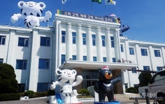 [포토] 강원 도청 옥상에 오른 수호랑과 반다비