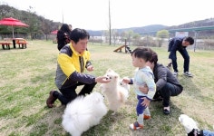 용인 기흥호수공원에 반려동물 놀이터 조성