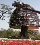 함평엑스포공원 희망나무 꽃단장