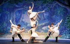 댄스뮤지컬, 테르테와 함께 떠나는 비바츠 태권발레